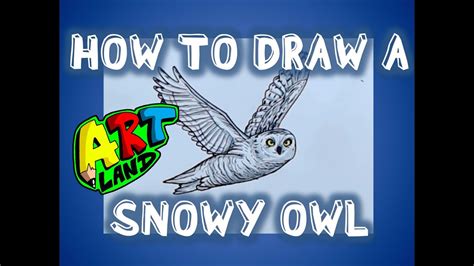 How To Draw A Snowy Owl Youtube