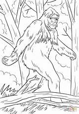 Coloring Bigfoot Sasquatch Printable Yeti Drawing Supercoloring Categories sketch template