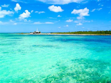 Caribbean Sea Iguana Island Cayo Largo Cuba Stock Image Image Of