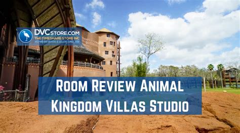 Room Review Animal Kingdom Villas Studio Dvc Store Blog