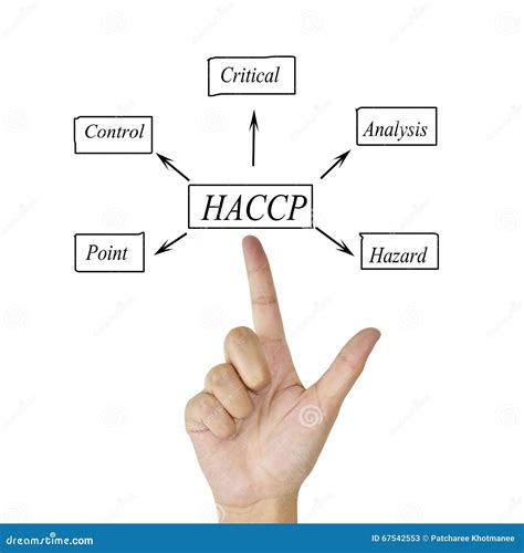 The Meaning Of Haccp Concept Hazard Analysis Of Critical Control