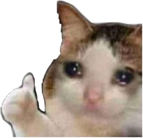 Crying Cat Thumbs Up Meme Transparent Tons Of Awesome Cat Meme