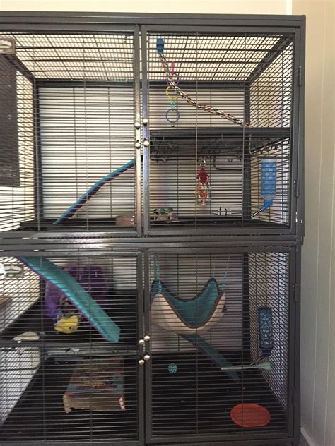 What Should I Add To Improve My Cage My Rats Dont Really Have A