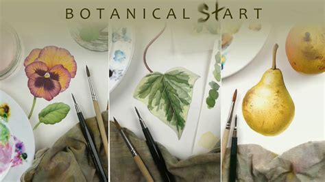 Watercolour Techniques Used For Botanical Art Youtube