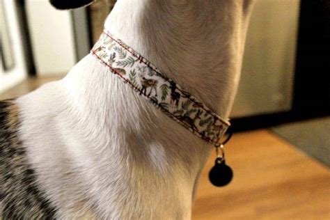 25 Personalized Diy Dog Collar Ideas To Make Your Own