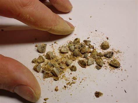 Диета при холестериновых камнях