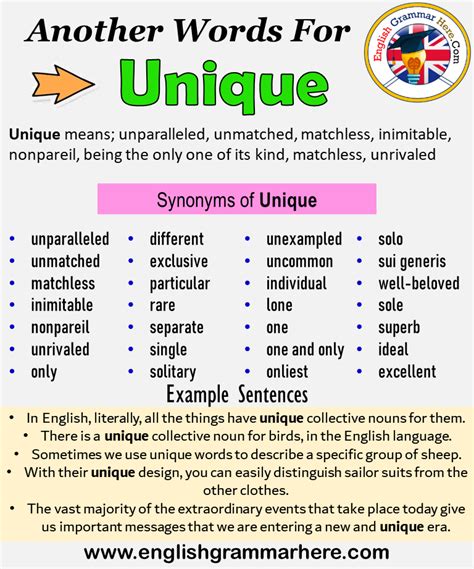 Another Word For Unique What Is Another Synonym Word For Unique