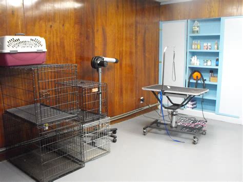Holistic pet source, nashville, tn. Holistic Pet Store Nashville - Pets Ideas
