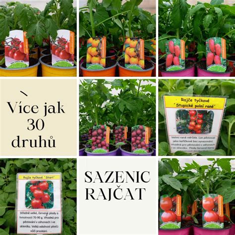 Akce Na Sazenice Rajčat💣💯💣 Zahradnictví Jelínek Veltrusy Facebook