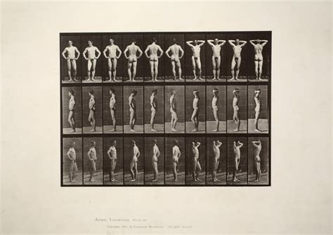 Indecent Exposures Eadweard Muybridges Early Nudes In Pictures