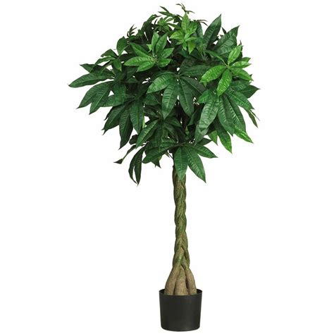 877 braided money tree products are offered for sale by suppliers on alibaba.com, of which artificial plant accounts for 1%. Darby Home Co Braided Money Tree in Pot & Reviews | Wayfair