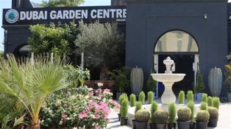 Dubai Garden Centreplants And Gardening Stores In Jumeirah 1 Dubai