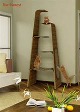 Cool Cat Climbing Towers