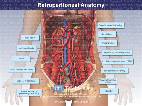 Retroperitoneal Anatomy Trial Exhibits Inc