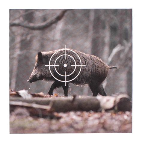 Hier findet ihr die motive zum anklicken, downloaden, ausdrucken und drauf schießen Zielscheiben / Schießscheiben - Wildsau / 25 Stück