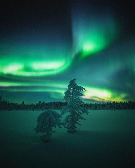 Jani Ylinampa On Instagram Photography Prints Art Winter Nature