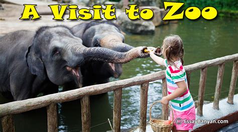 Essay On A Visit To Zoo For School And College Students In English
