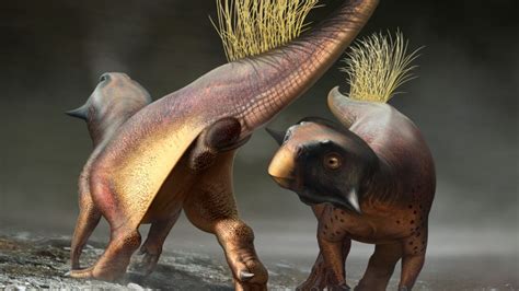 Paleontologists Have Reconstructed A Dinosaur S Butthole Mental Floss