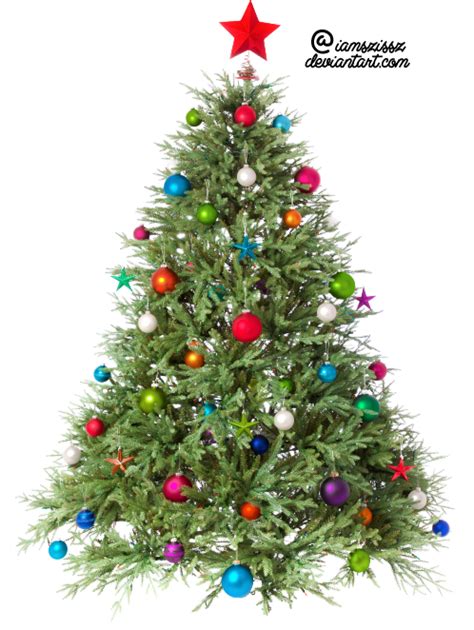 Banco De Imágenes Gratis 14 Imágenes De Pinitos De Navidad Png Christmas Trees
