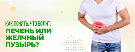 Печень желчный пузырь диету Как понять, что у человека болит: может ли болеть печень или желчный Как понять, что у человека болит: может ли болеть печень или желчный Печень желчный пузырь диету