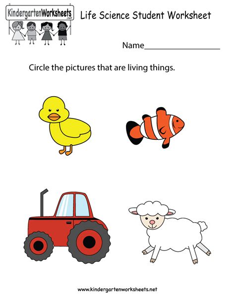 Kindergartners, teachers, and parents who homeschool their kids can print, download, or use the free kindergarten learning worksheets online. 31 Science Worksheet For Kindergarten - Worksheet Iist Source