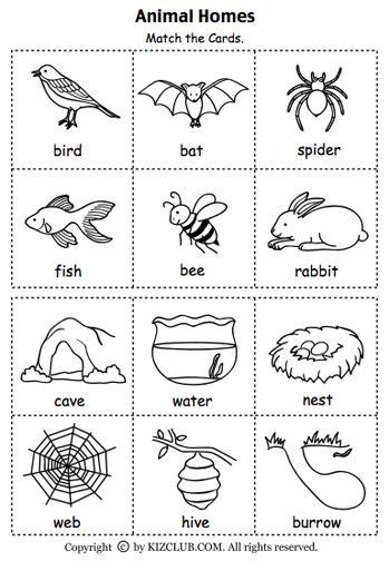 Soulmuseumblog Animal Homes Coloring Pages