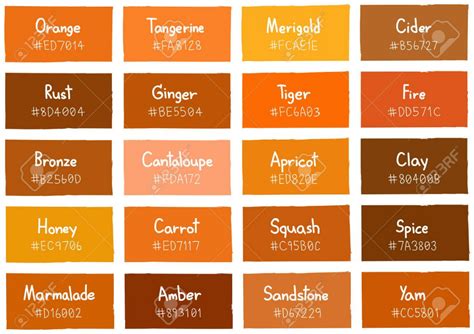 Orange Tone Color Shade Background With Code And Name Illustration