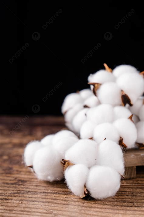 Photographs Of Xinjiang Cotton Cotton Fabrics Background Cotton