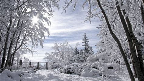 Wallpaper Snow Trees Winter Fence Snowdrifts Landscape 1920x1080