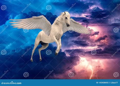 Pegasus Winged Legendary White Horse Flying With Spread Wings Stock