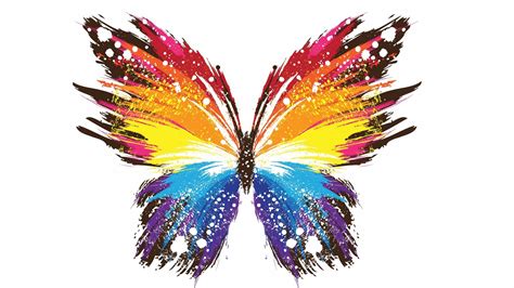 Colorful Butterfly In White Background 4k Hd Abstract