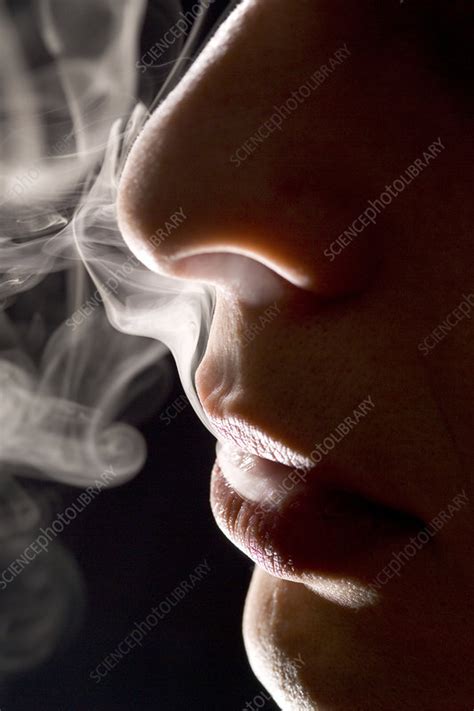 man smoking stock image m370 1051 science photo library