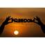 Freedom Free Stock Photo  Public Domain Pictures