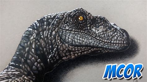 Dibujando Un Velociraptor De Jurassic World Dibujo Realista Youtube