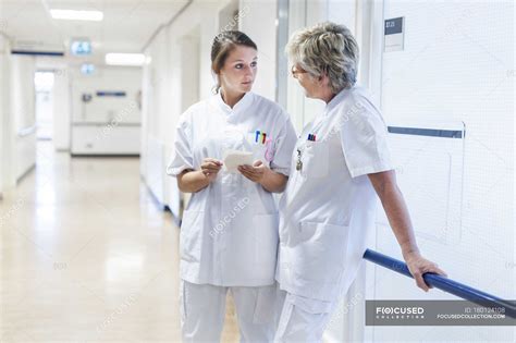 Nurses Talking In White Hospital Corridor — Indoors Medical Stock
