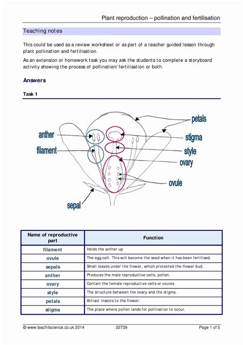Plant Reproduction Worksheet Answers - worksheet
