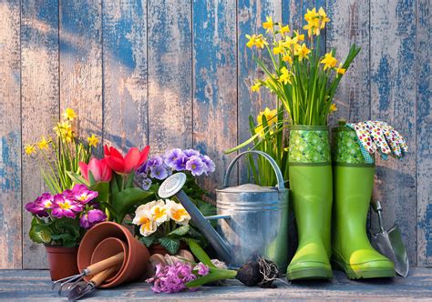 Get Your Yard Spring Ready With These Seven Simple Steps — Stevensville
