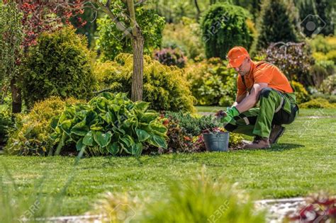 Why Should You Hire A Strata Gardening Maintenance Service House