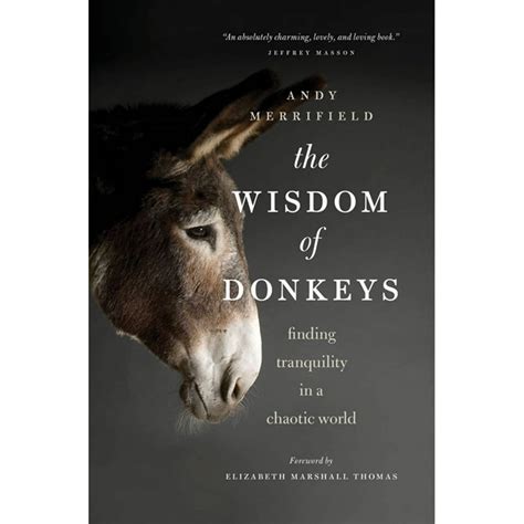 The Wisdom Of Donkeys Finding Tranquility In A Chaotic World
