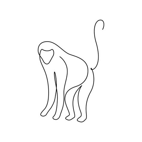 5600 Monkey Outline Stock Photos Pictures And Royalty Free Images Istock