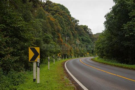 Sinal Bonito Da Estrada E De Estrada Da Curva Do Perigo Imagem De Stock