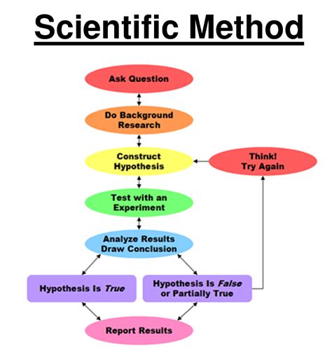 7 steps of the scientific method in order. Pin on Structural Frame
