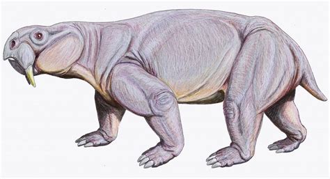 Triassic Animals Discover The Animals That Lived In The Triassic Period
