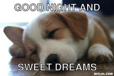 50 Cutest Goodnight Memes Good Night Funny Funny