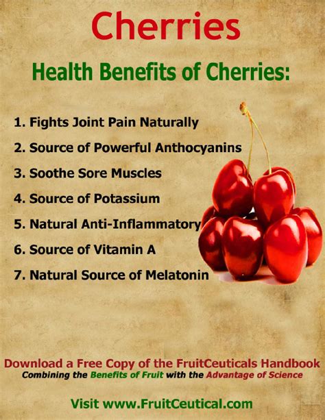 258956182 Health Benefits Of Cherries1 By Fe Binan Issuu