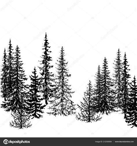 Fir Coniferous Evergreen Tree Silhouettes Landscape Vector Illustration