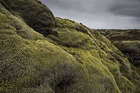 Iceland South Of Iceland Eldhraun Field Of Lava Stock Photo