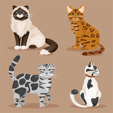 Premium Vector Set Of Cats Vector Illustration