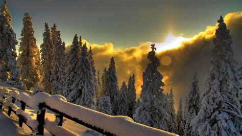 1920x1080 Landscape Winter Snow Sunset Trees Fence Wallpaper  486 Kb