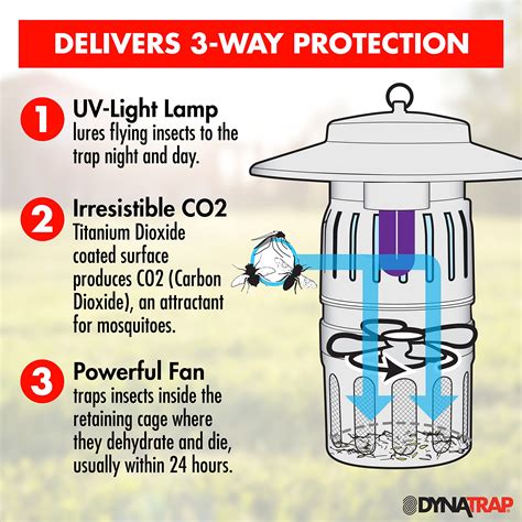 Buy Dynatrap Dt1050 Azsr Mosquito And Insect Trap Kills Mosquitoes